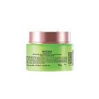 Lakme 9 To 5 Naturale Day Creme SPF 20 With Pure Aloe Vera