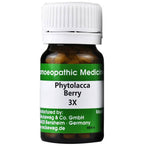 Dr. Reckeweg Phytolacca Berry Tablets - Distacart