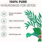 Kapiva Ayurveda Wheat Grass Juice - Distacart