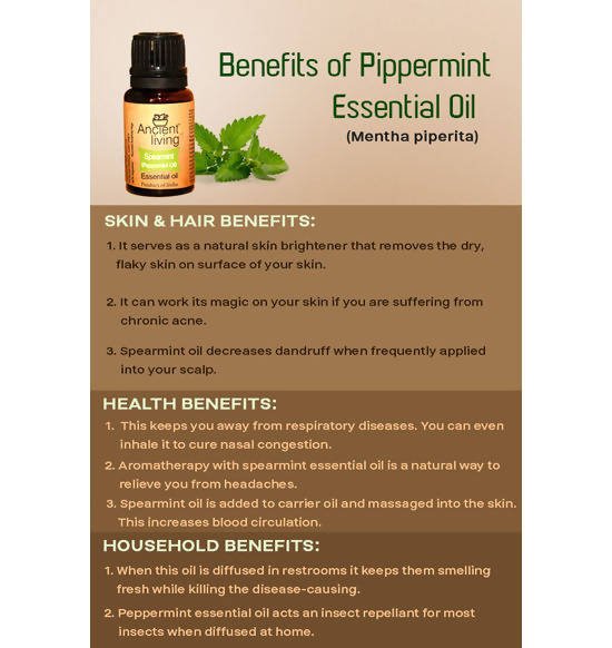 Ancient Living Spearmint (Peppermint Oil) Essential Oil