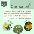 Devprayag Pure Cashew Nut Oil