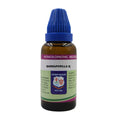 Father Muller Sarsaparilla Mother Tincture Q - Distacart