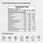 Miduty by Palak Notes Matcha Tea - Distacart
