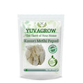 Yuvagrow Kasuri Methi Papad - Distacart