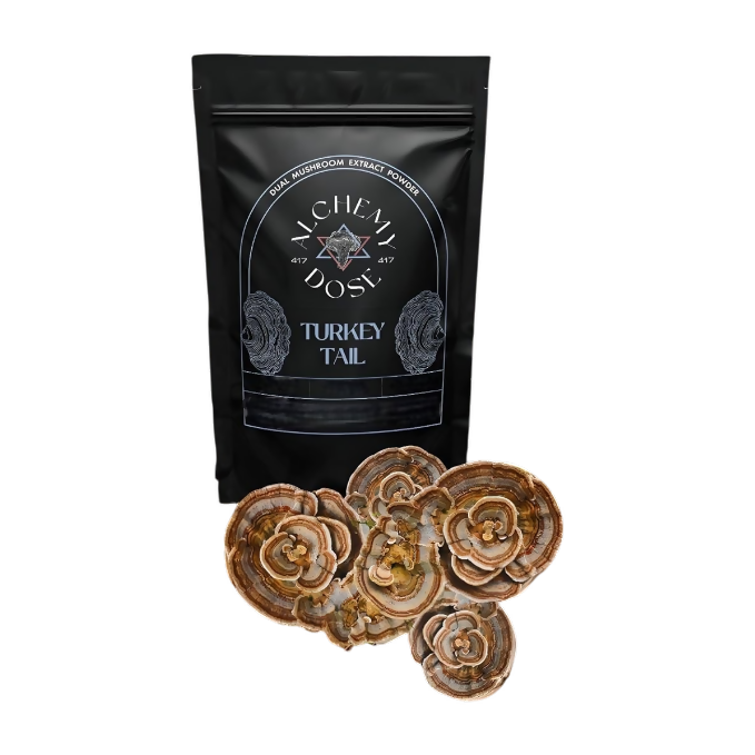Alchemy Dose - Turkey Tail Mushroom Extract Powder