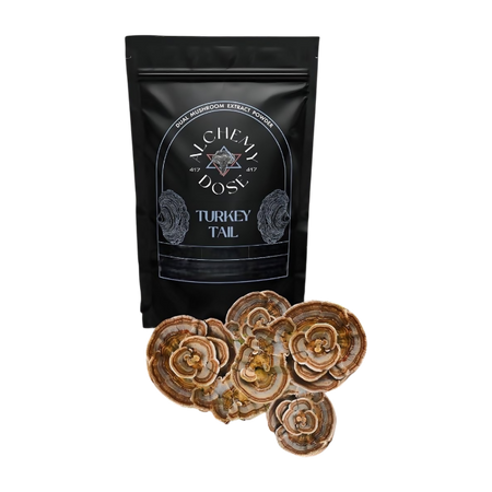 Alchemy Dose - Turkey Tail Mushroom Extract Powder