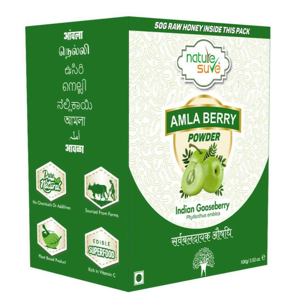 Nature Sure Amla Berry Powder