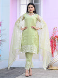 Lehenga Mart Designer Organza Suit With Sequence Embroidered Work - Light Green