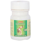 Baidyanath Jhansi Rheumartho With Salai Guggulu - Distacart