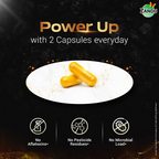 Zandu SJ Gold Plus Capsules - Distacart