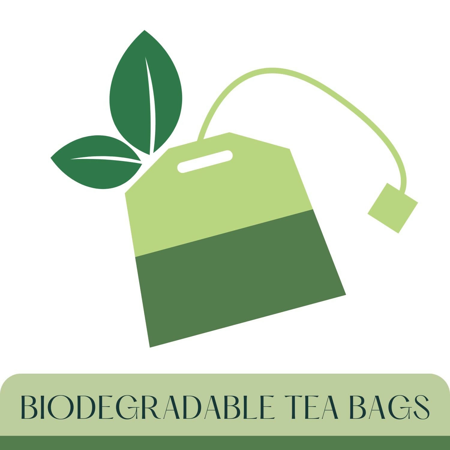 51TVh3+9PqL (5)