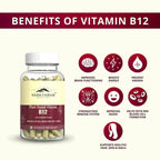 Rasayanam Plant Based Vitamin B12 Capsules for Men & Women - Distacart