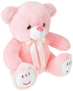 Jam & Honey Teddy Bear, Cute, Soft Toy (Pink)