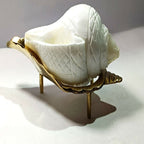 Brass Jal Shankha With Stand