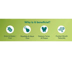 Happi Doggy Dental Chew Care Hip & Joint Support Rosehip & Okra - Distacart
