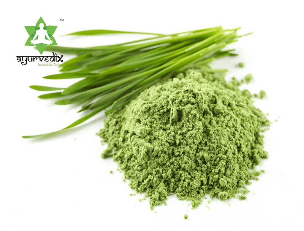 Ayurvedix Organic Wheatgrass Powder