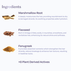 Sacred Grove Marshmallow Root Gentle Hair Shampoo