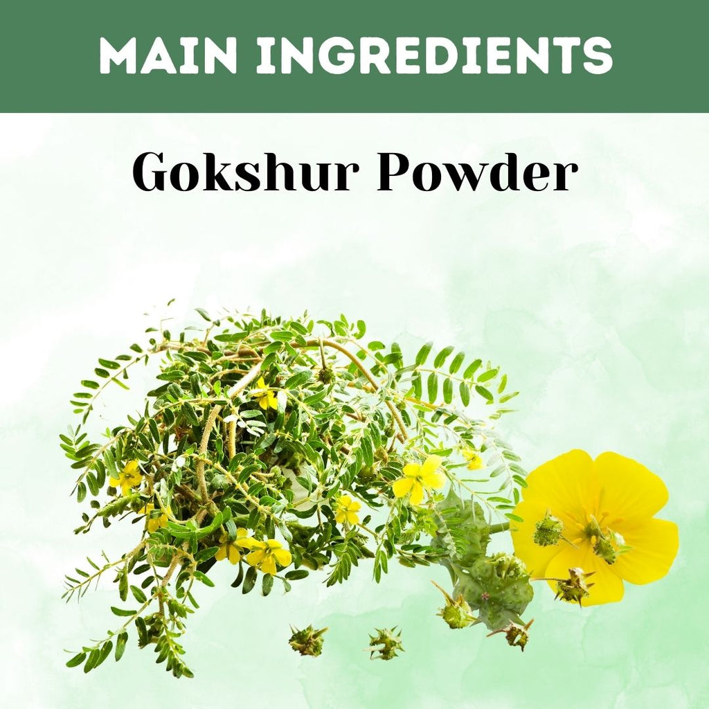 Herbal Hills Ayurveda Gokshur Powder - Distacart