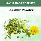 Herbal Hills Ayurveda Gokshur Powder - Distacart