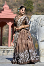 Vedant Vastram Fully Printed Pure Manipuri Silk Lehenga Choli With Blouse & Dupatta - Brown