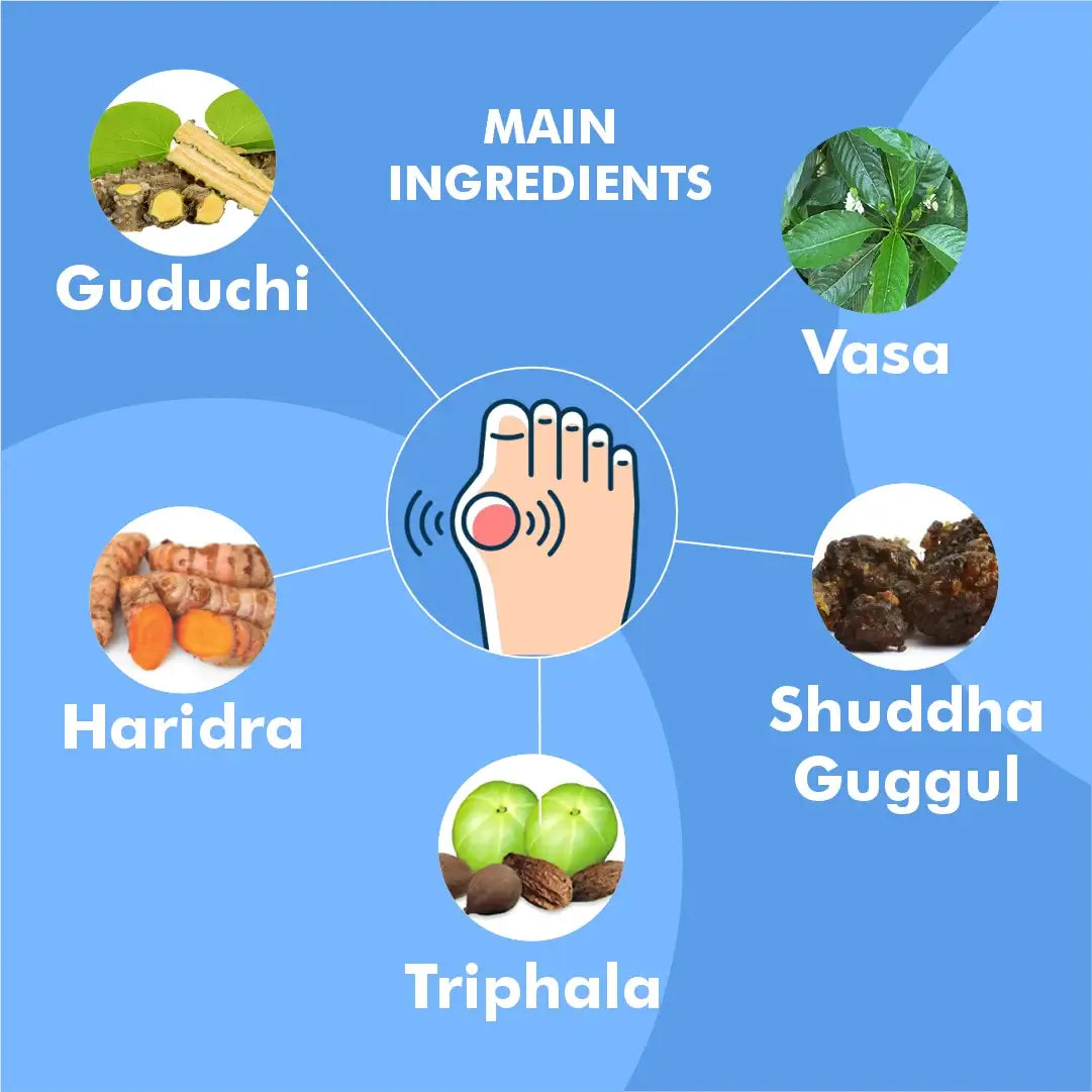 Herbal Hills Ayurveda Gautyhills Tablets - Distacart