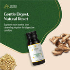  A promotional banner for Gandharvahastadi Castor Oil, titled "Gentle Digest, Natural Reset," featuring the bottle surrounded by ginger and barley. This ayurvedic oil supports digestive comfort