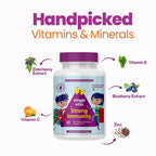 Zingavita Strong Immunity Gummies (Tangy Mango Flavor) - Distacart