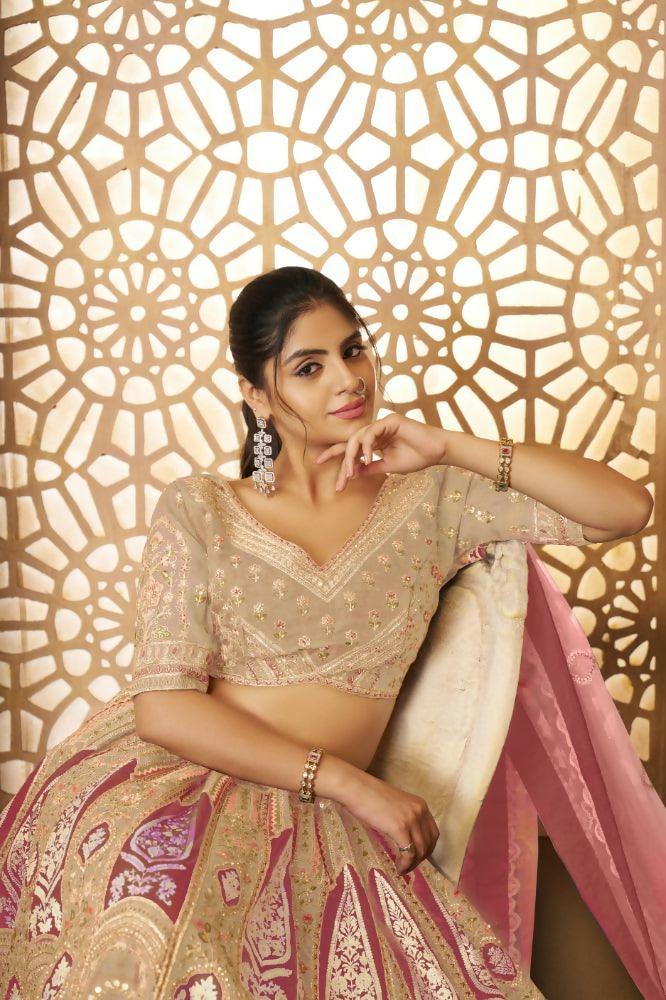 Kesar Fab Chiku Banarasi Silk Embroidered Lehenga