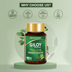 Jagat Pharma Giloy Extract Plus Capsule | Immunity Booster - Distacart
