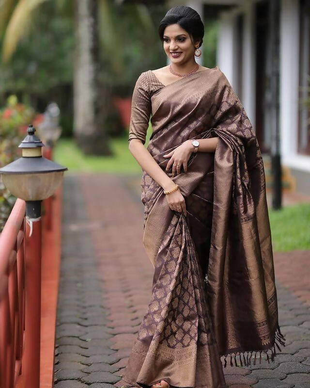DEIANA'S Beautiful Designer Golden zari Soft Lichi Silk Saree - Brown