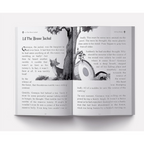 Pandit Vishnu Sharma's Panchatantra For Children - Distacart