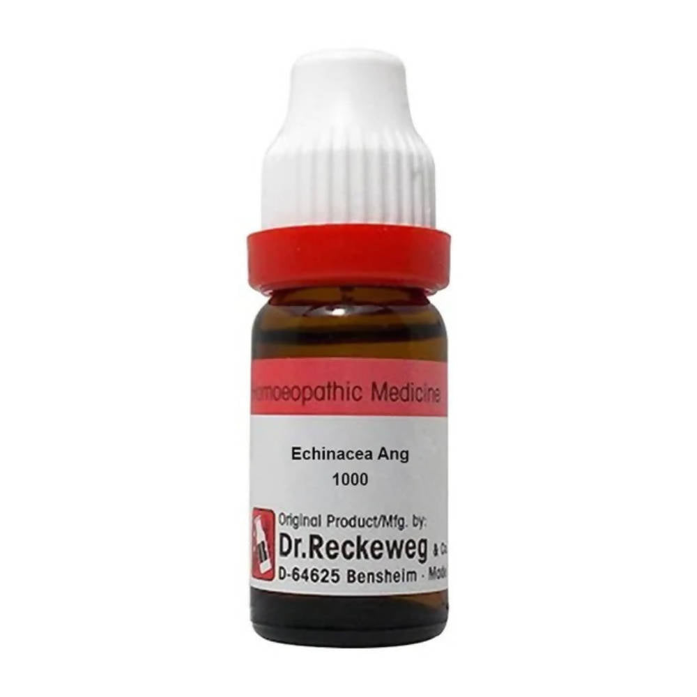 Dr. Reckeweg Echinacea Ang Dilution - Distacart