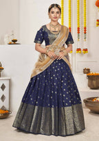 DEIANA'S Beautiful Jackquard Weaving Lehengha Choli - Blue