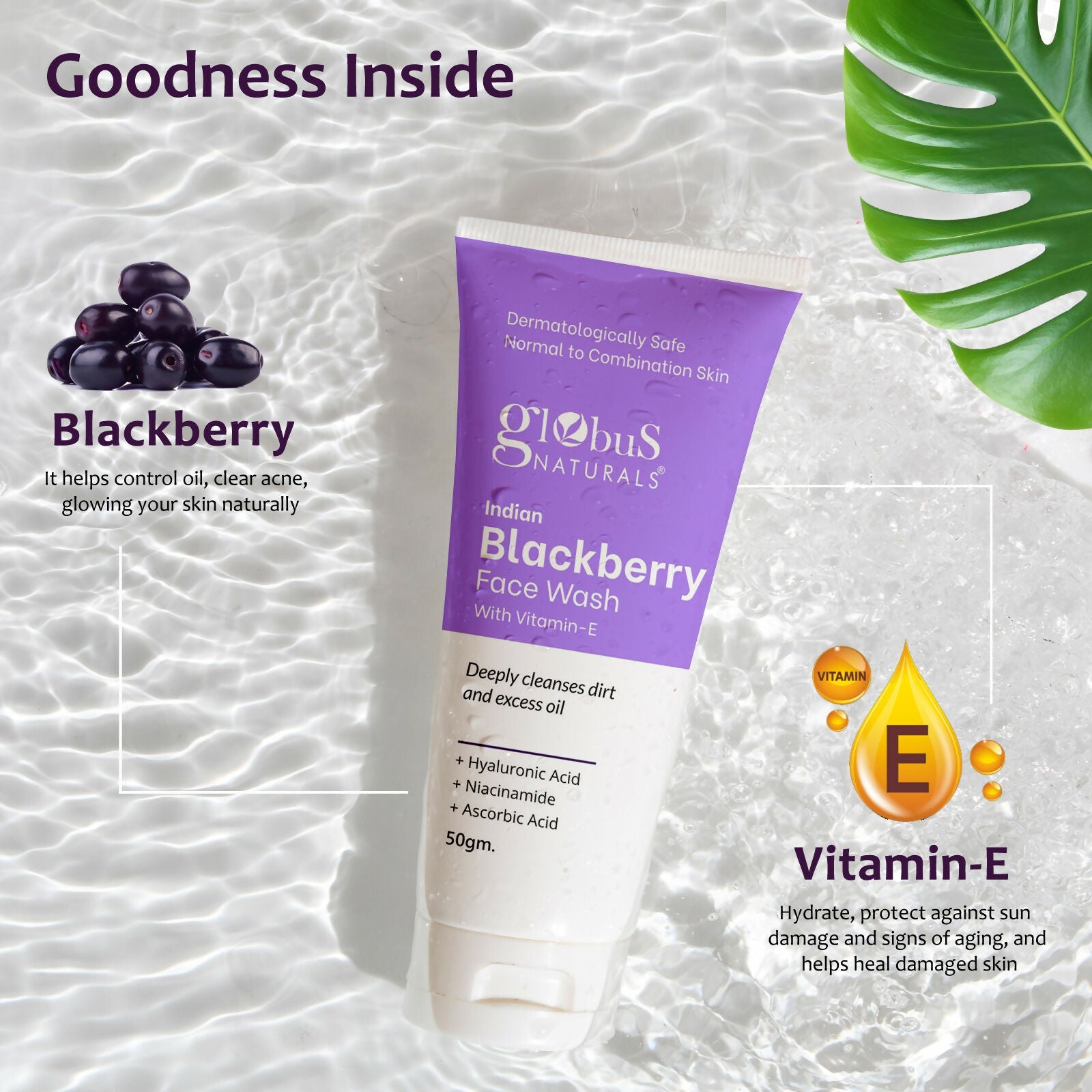 Globus Naturals Indian Blackberry Face Wash with Vitamin E - Distacart