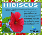 Qykkare Premium Hibiscus Powder For Hair Growth