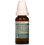 Dr. Willmar Schwabe Germany Gnaphalium Pentarkan Ptk. 49 Drops - Distacart