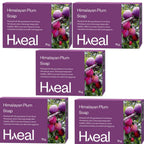 Haeal Himalayan Plum Soap