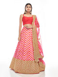 Myra Pink Organza Embroidered Designer Lehenga