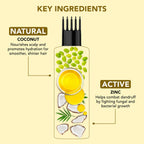 Botanic Hearth Coconut & Zinc Hair Oil