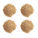Hebsur Herbals Barley Seeds - Distacart