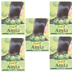 Hesh Amla Powder