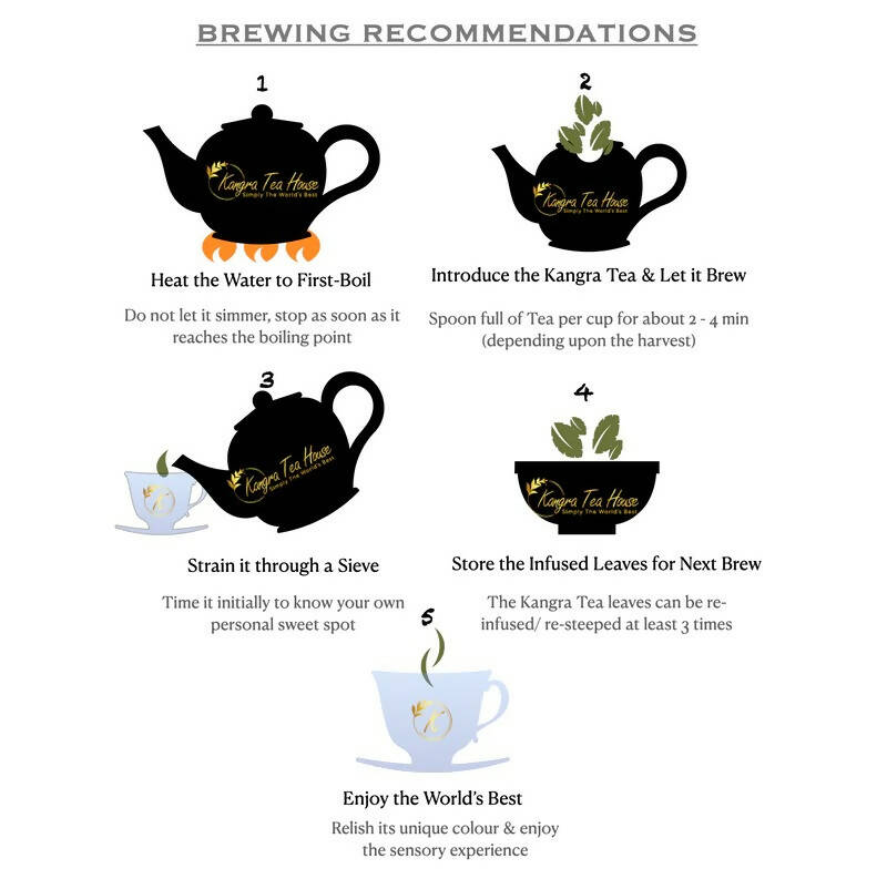 Kangra Tea House PuriTEA - Green Tea - Distacart