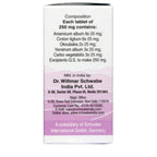 Dr. Willmar Schwabe India Alpha DP Tablet - Distacart