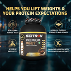 Scitron Nitro Series Premium Whey Rich Chocolate - Distacart