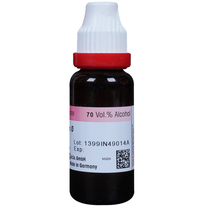 Dr. Reckeweg Allium Sativum Mother Tincture Q - Distacart