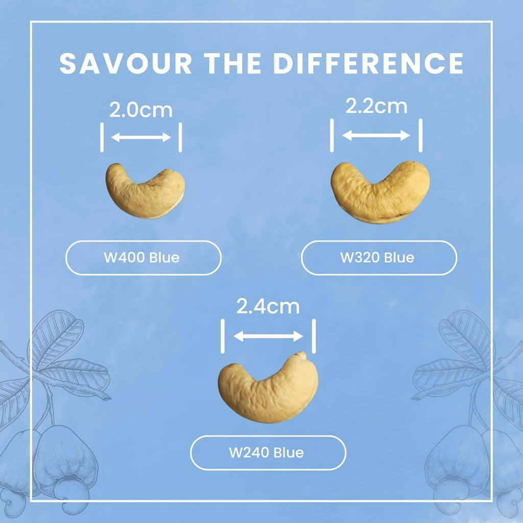 Zantye's Goan Cashew W320 Premium Kaju - Distacart