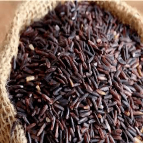Svastya Kavuni Black Rice