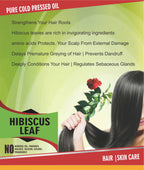 Spag Herbals Premium Hibiscus Leaf Powder