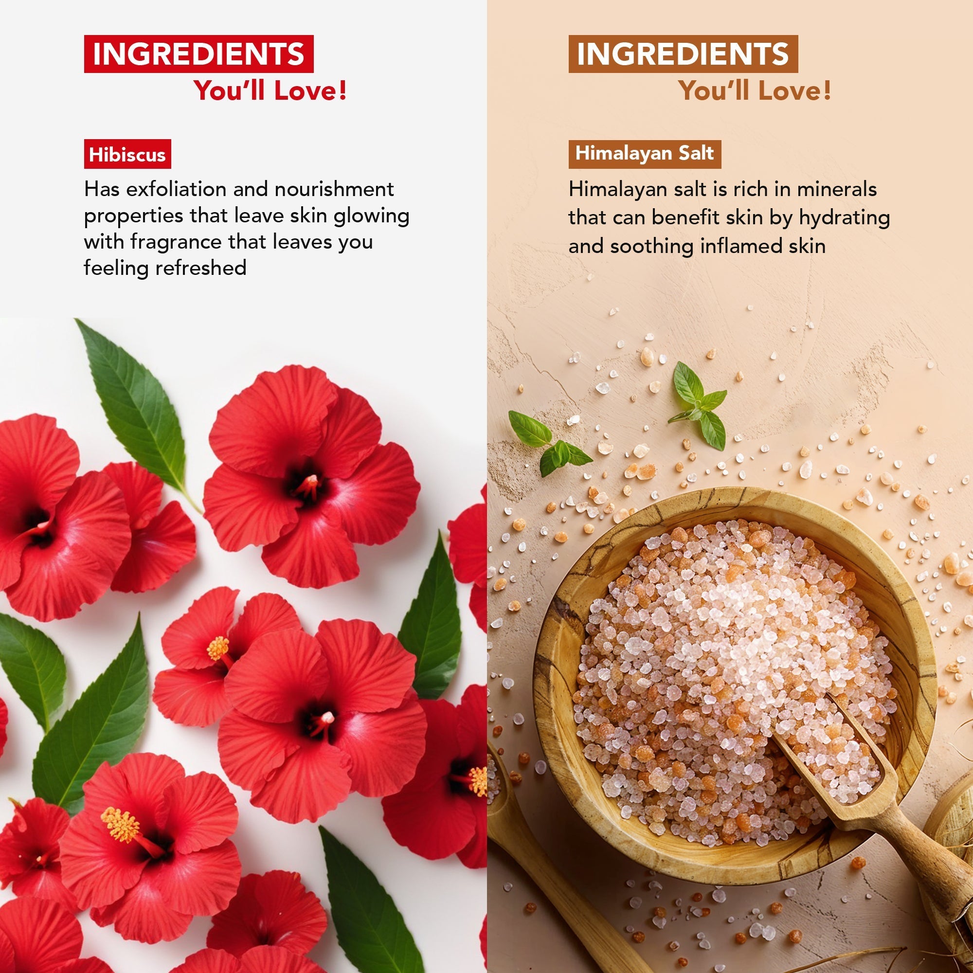 Botanic Hearth Deep Exfoliation Combo - Himalayan & Hibiscus Body Scrubs