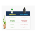 Little Joys Aloe Vera Shampoo